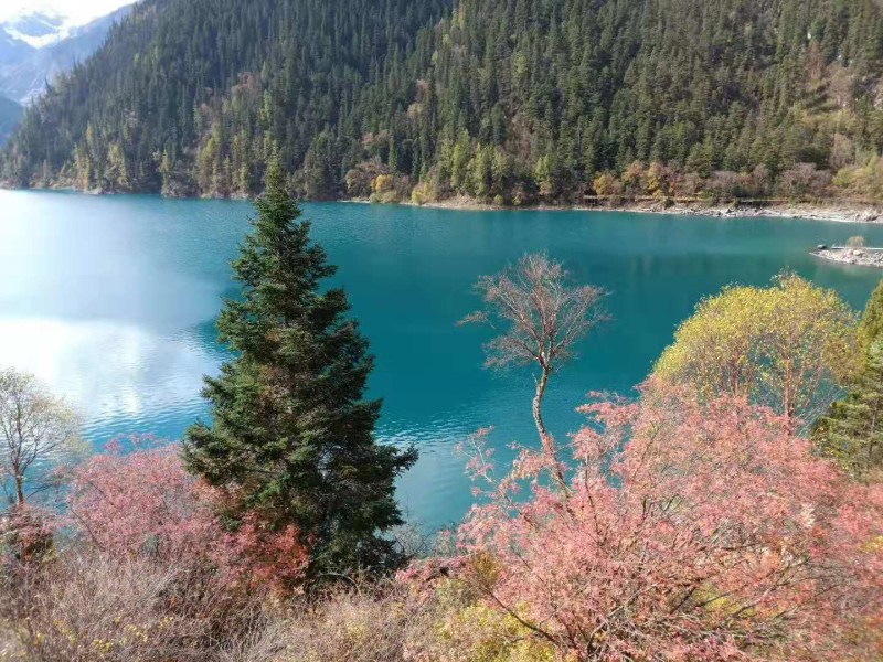 微信图片_20191014154446.jpg