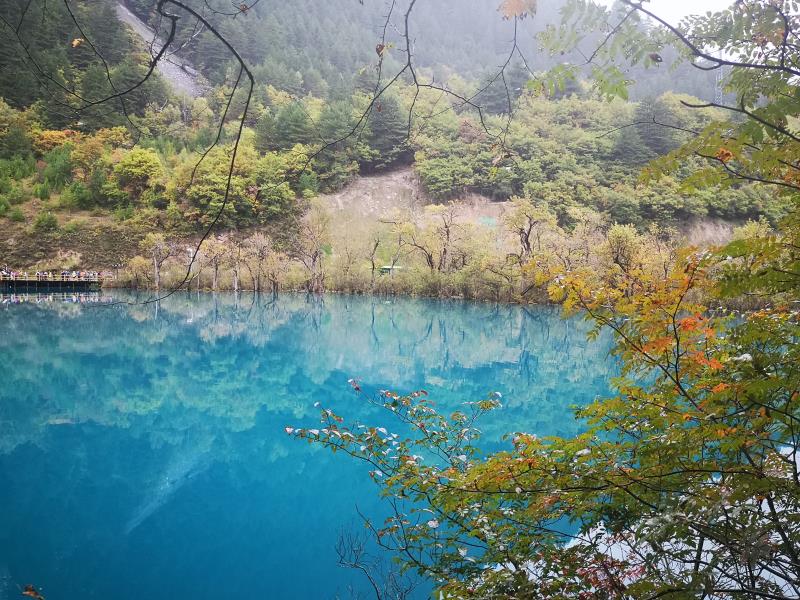 微信图片_20191014154454.jpg