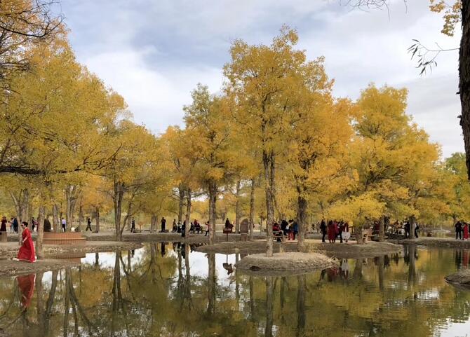 QQ截图20191018104220.jpg