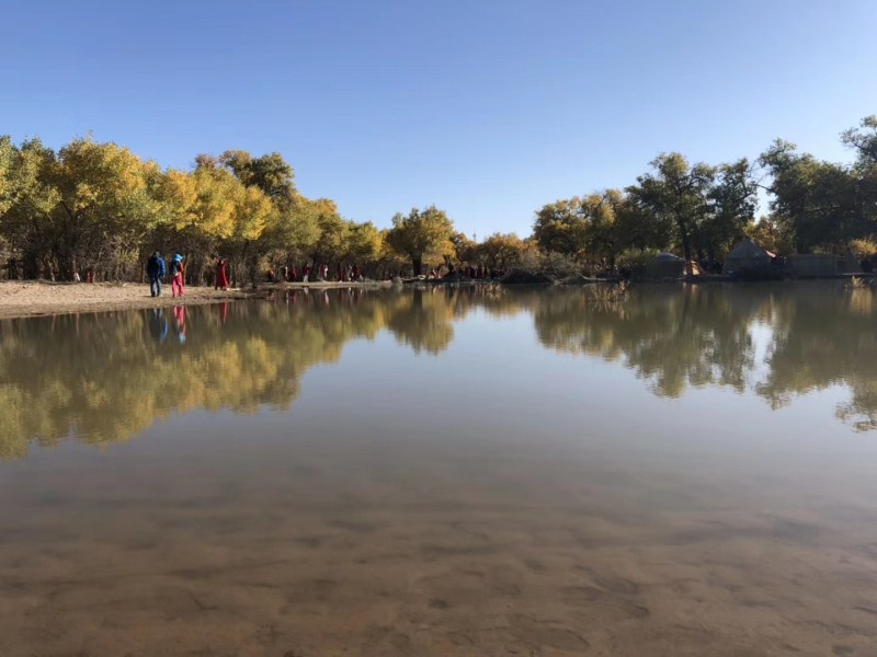 微信图片_20191018104146.jpg