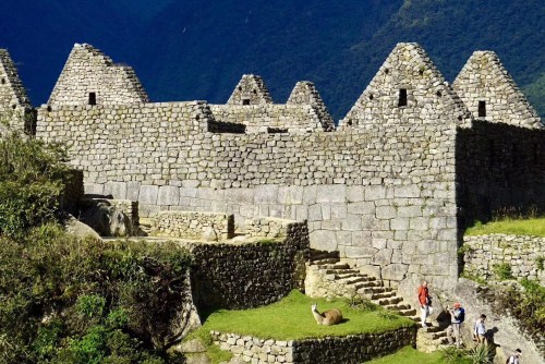 【一价全含】ET＜巴西+阿根廷+智利+秘鲁+乌拉圭 5国26日＞19+1小团