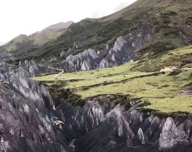 微信图片_20190918085815-.jpg