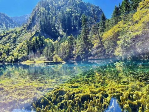 【阿甘正转】8人小团＜九寨沟+黄龙+四姑娘山+墨石公园+鱼子西+木格措 5日游＞0购物0自费+旅拍，不含门票