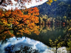 【国庆】品质纯玩＜下一站在路上·九黄-都江堰（熊猫乐园）-四姑娘山四日＞赠送旅拍+走进藏家