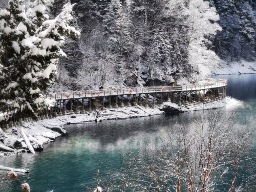 【夕游全景四川】汽车+动车<二进峨眉+乐山大佛+九寨+黄龙+都江堰+青城山+熊猫基地+三星堆/金沙+打卡张公桥+夜游锦里 6日>29人小团×2+1头等舱