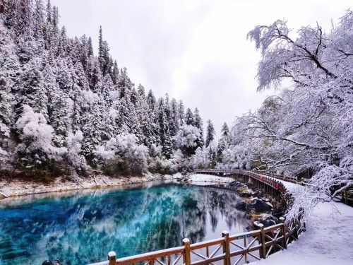 【阿甘正转】8人小团<九寨沟-黄龙-四姑娘山-墨石公园-亚拉雪山-木格措-塔公草原-鱼子西 5日游>0购物0自费+旅拍