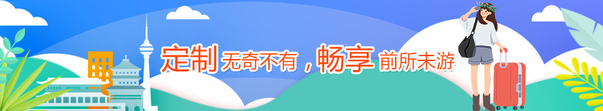 定制游